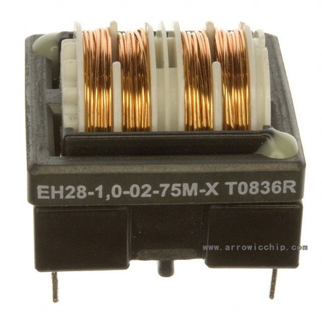 Picture of EH28-1.0-02-75M-X